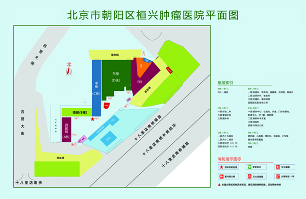 操死你网站北京市朝阳区桓兴肿瘤医院平面图